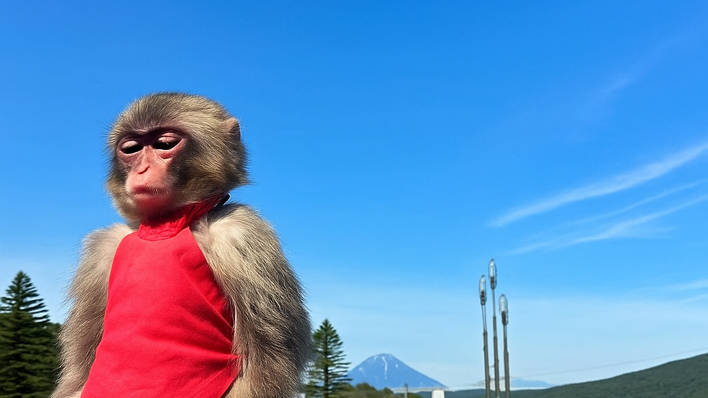 droppouのバナー