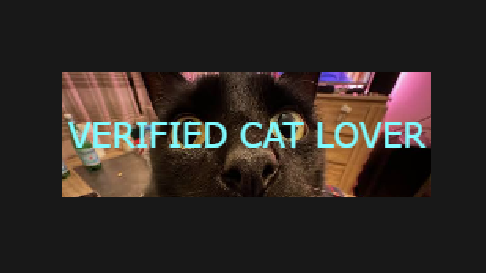 Cat lovers