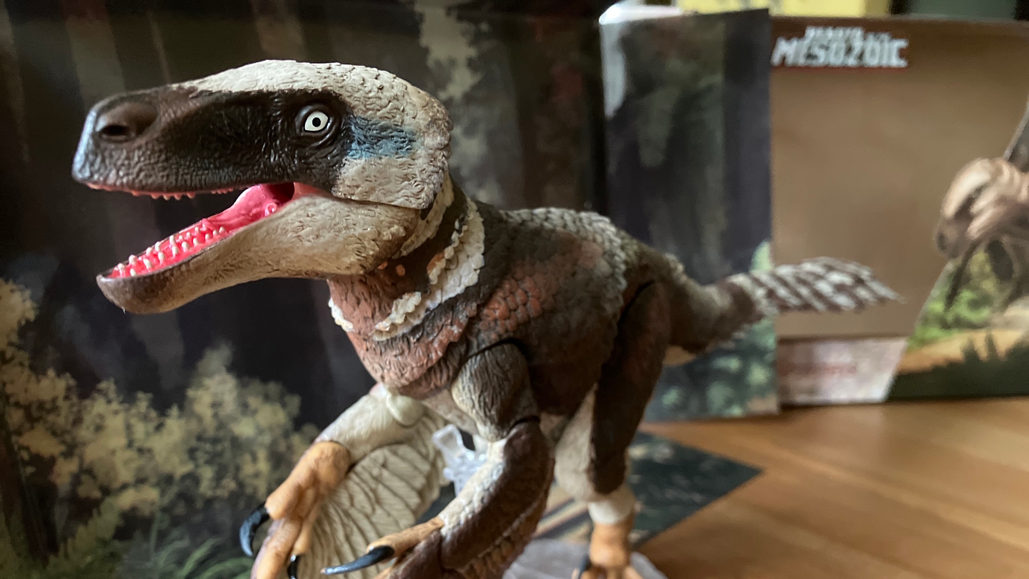 Stormtalon Raptor Care Center