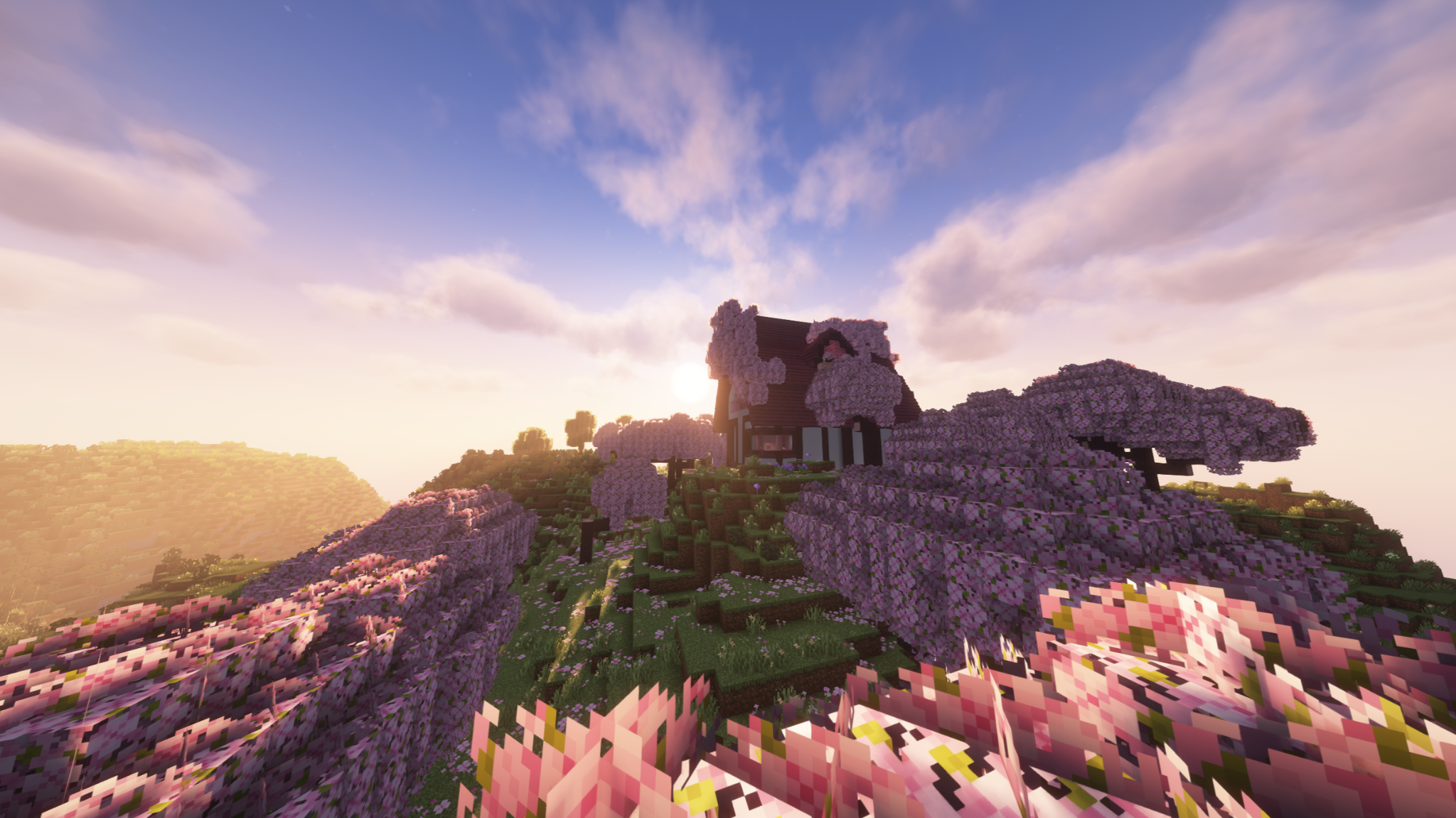 FAY'S PROPERTY