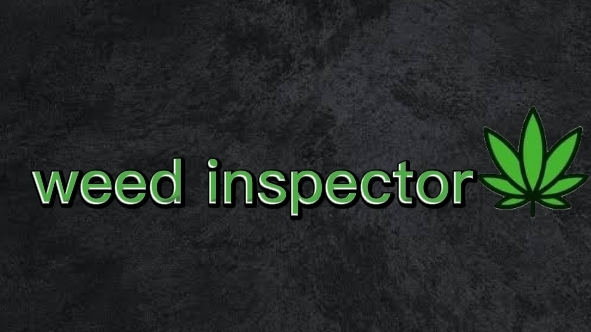 Inspectors