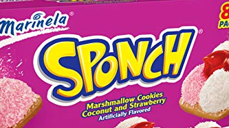 sponch
