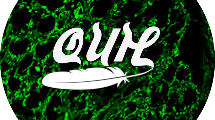 Quil's Crewのバナー