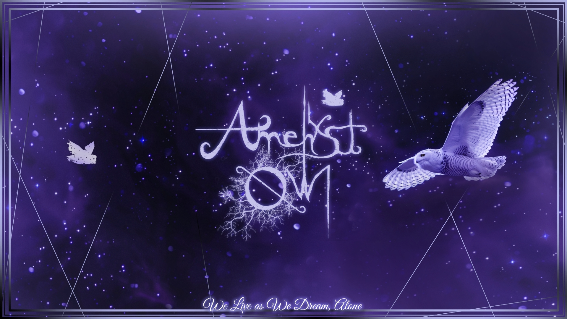 Amethyst Owlsのバナー