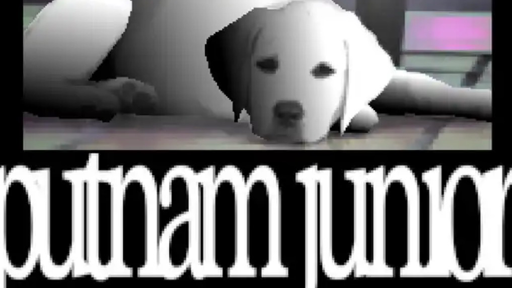 Putnam junior fansのバナー