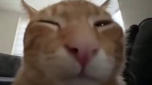 buhのバナー