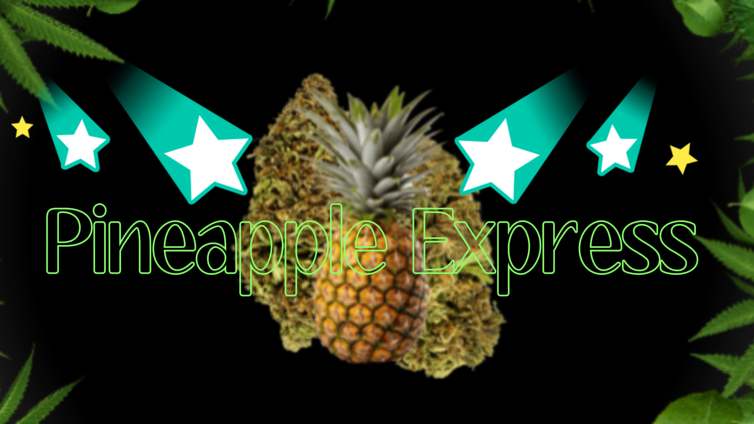 Pineapple Expressのバナー