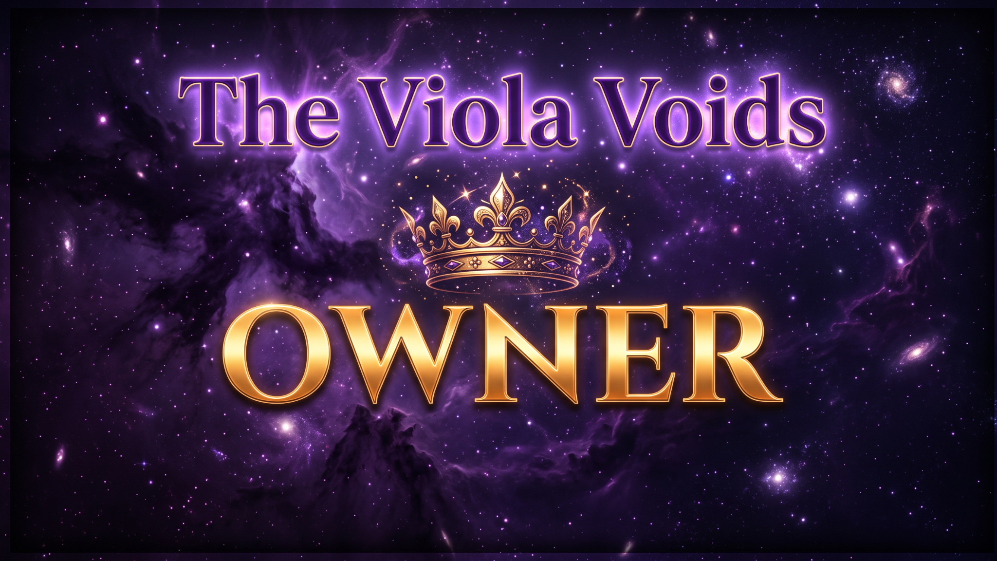 owner of the viola voidsのバナー