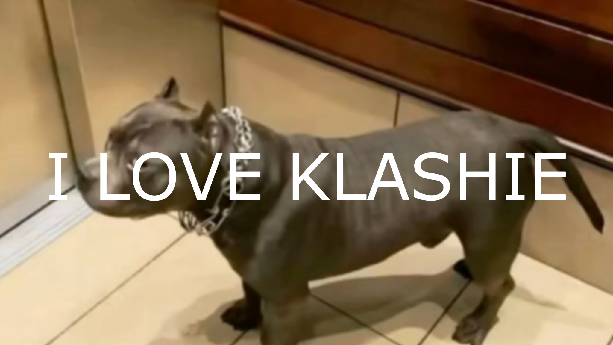 I LOVE KLASHIEのバナー