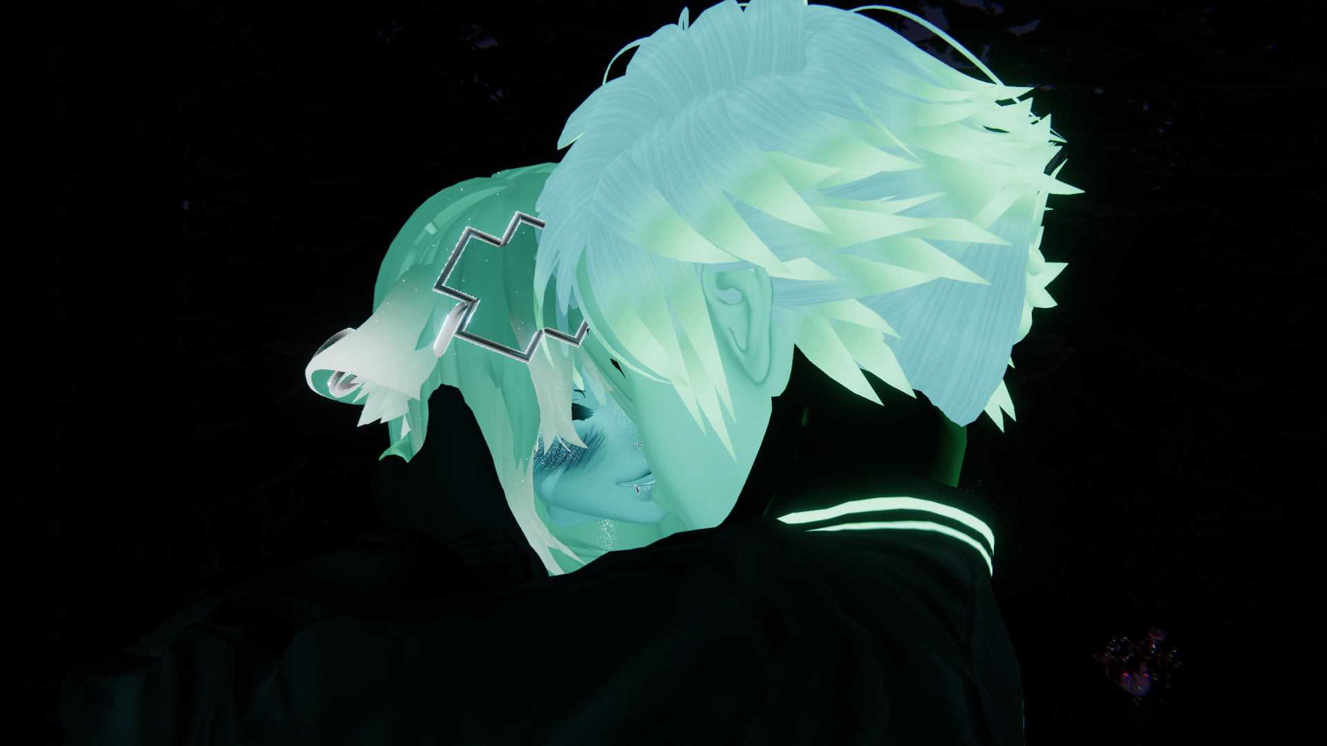 FeaRaver