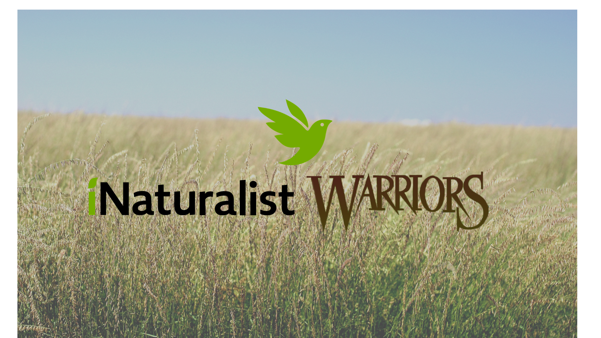 iNat Warriorsのバナー