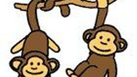 Monkeys