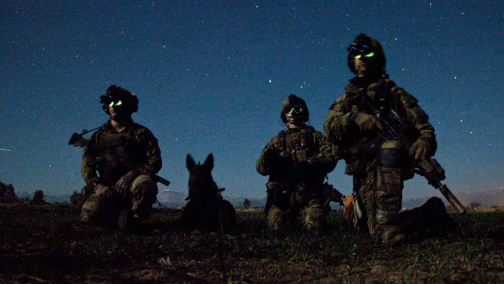 The Landshark SF Detachment
