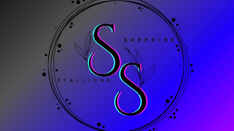 The Sapphire Stallionsのバナー
