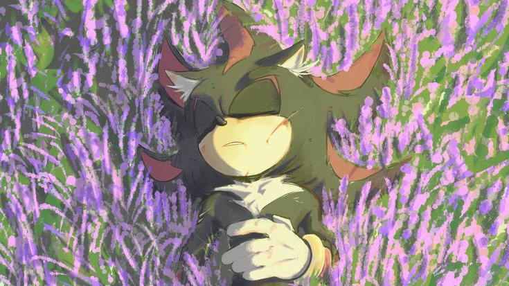 I Miss My Shadow The Hedgehog