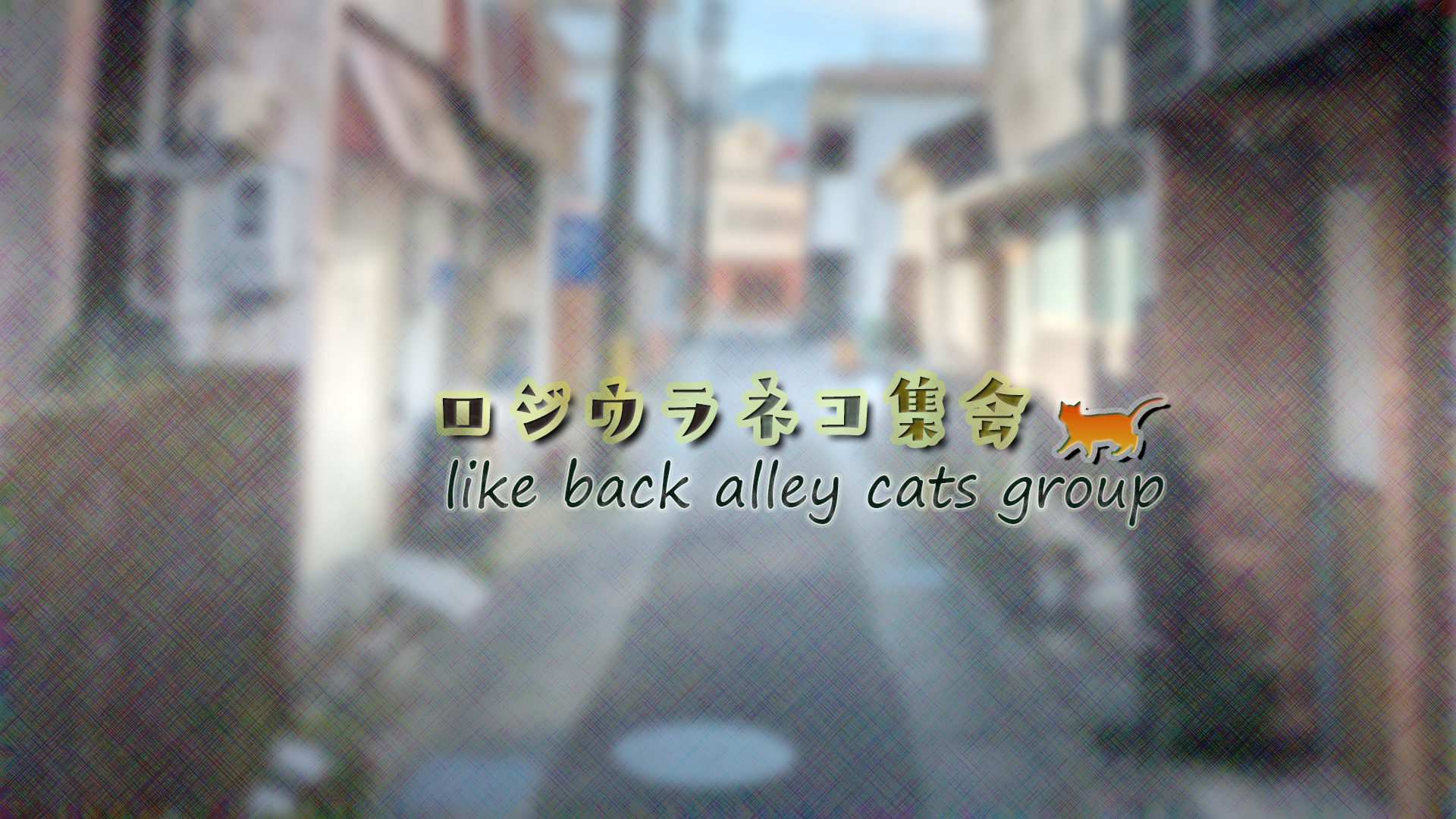 ロジウラネコ集会 - like back alley cats groupのバナー