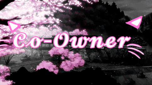 Pink paradise co-ownerのバナー