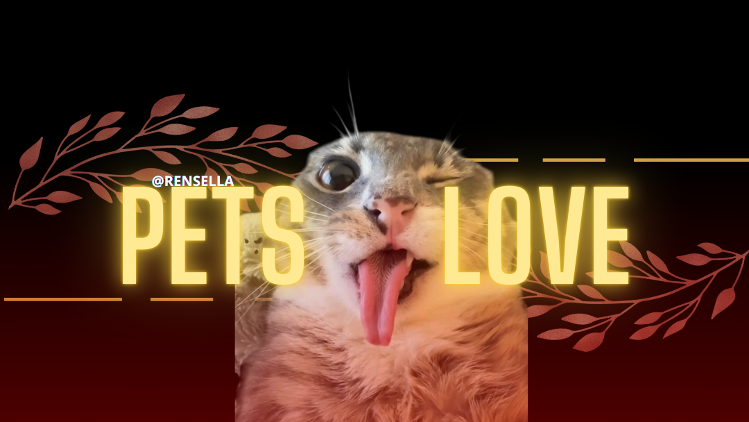 PETS LOVEのバナー