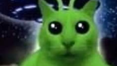 glorp colonyのバナー