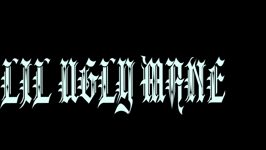 LIL UGLY MANE FAN GROUP
