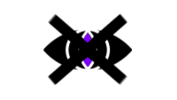 Void Regime