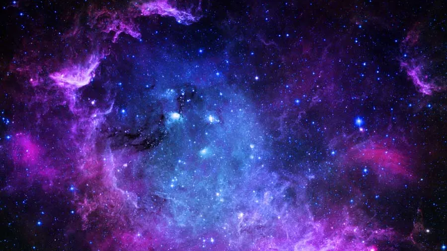Galaxy Garden