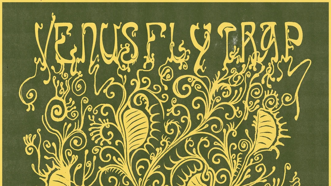the flytrap