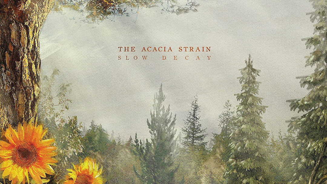 The Acacia Strain