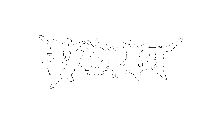 Doubt