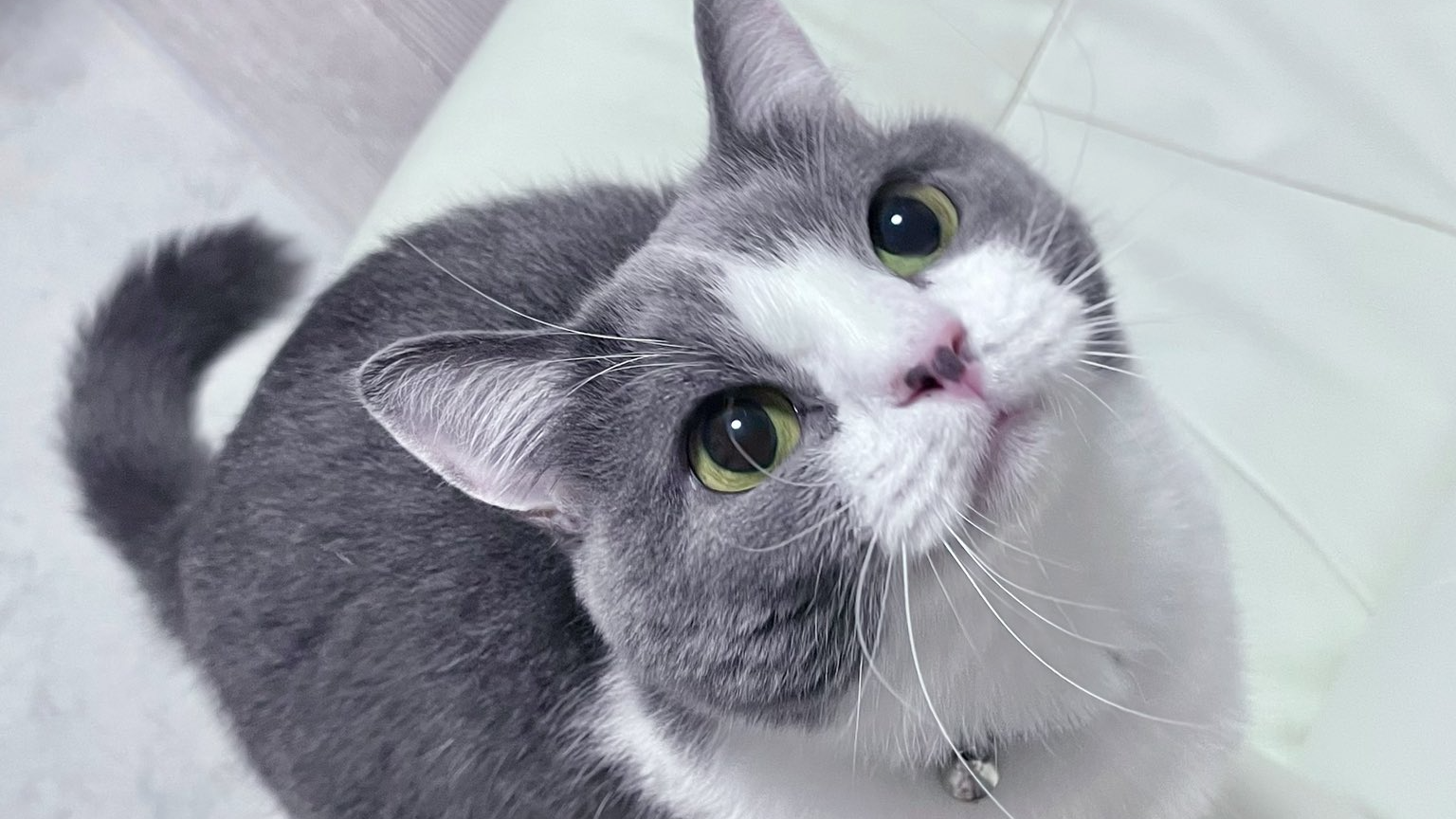 This is ちょこよのバナー
