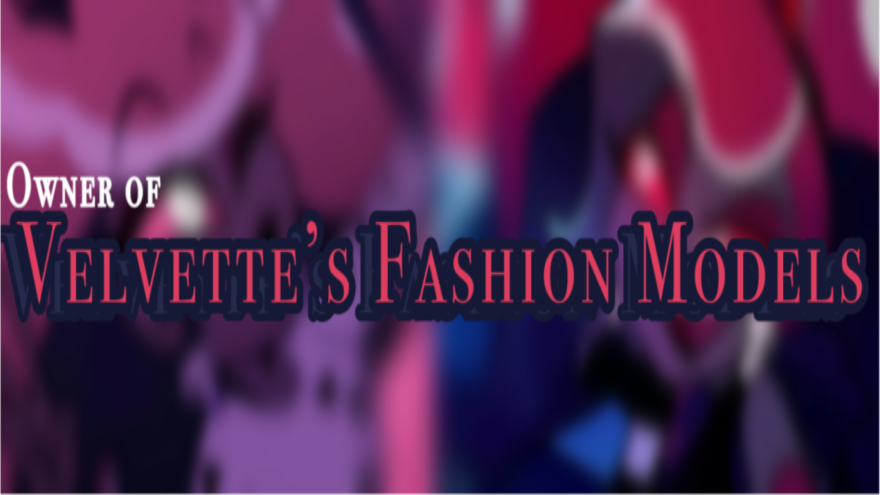 Owner of Velvettes Fashion Modelsのバナー