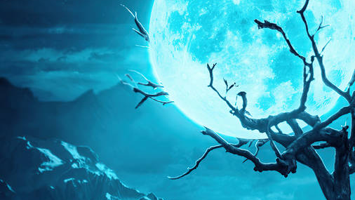 DreamyNights