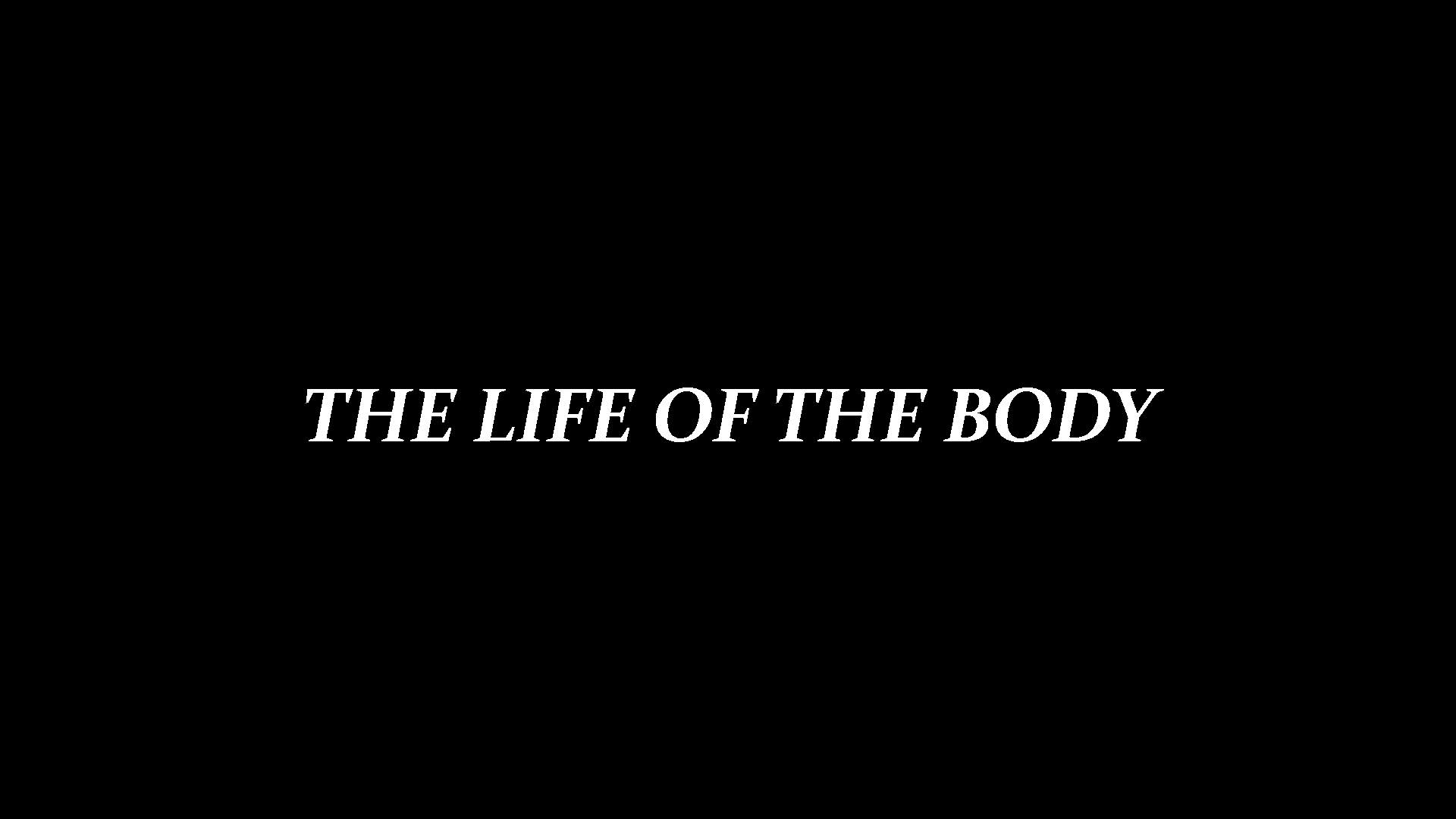 The Life Of The Bodyのバナー