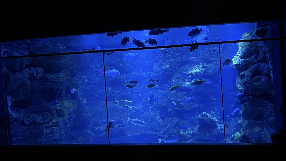京都水族館にいこうのバナー