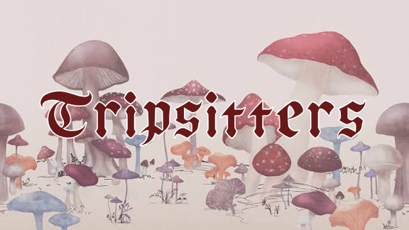 Tripsittersのバナー