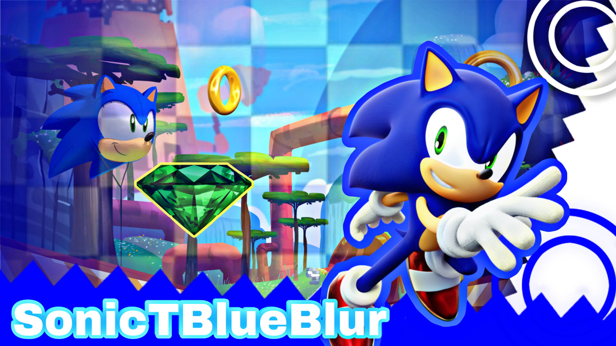 Certified Sonic The Hedgehog