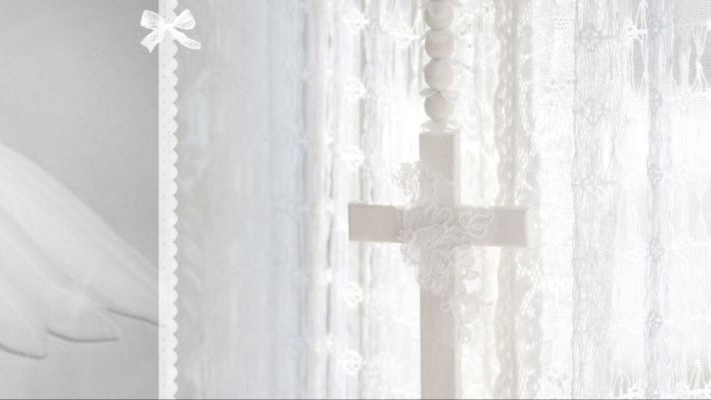 silly angelsのバナー