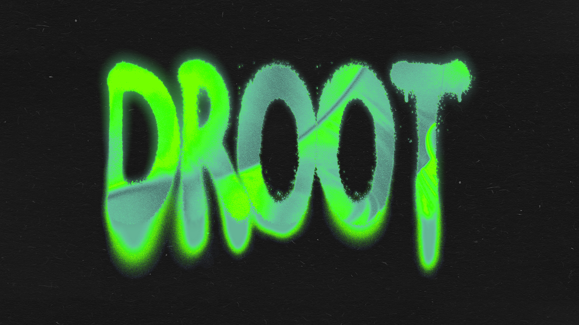 Droot Haver