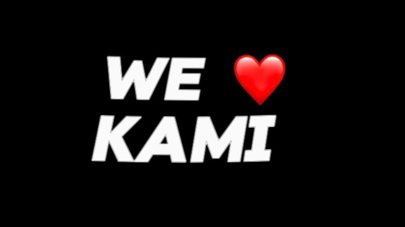WE LOVE KAMIのバナー