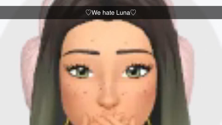 We hate Luna tunaのバナー