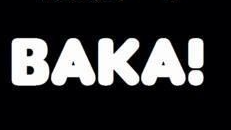 You are a Baka