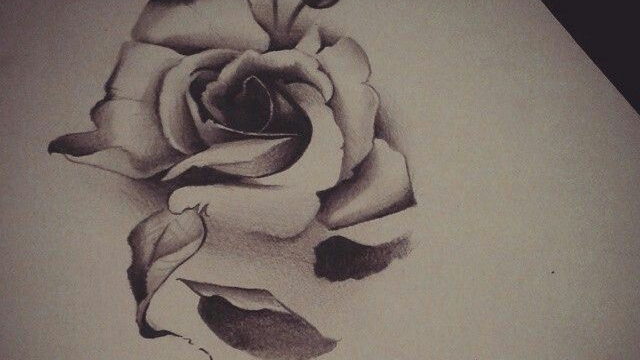 Fallen rose petalのバナー