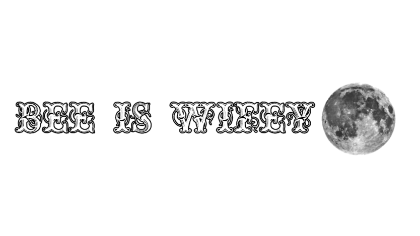 bee is wifeyのバナー