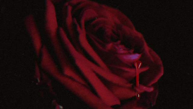 The Bleeding Heartsのバナー