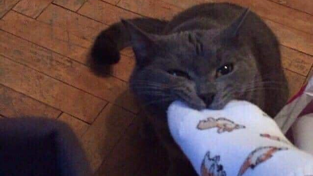 IL0V3 KITTIESのバナー