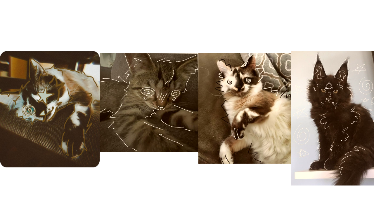 KrAp cAtS