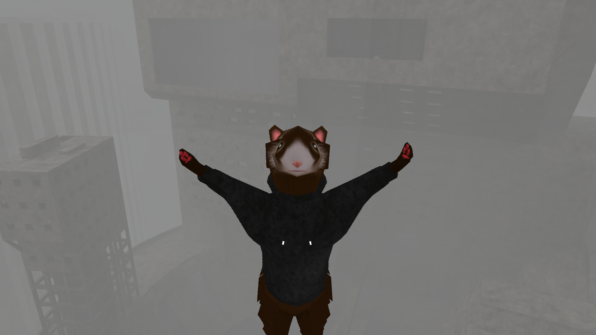 The 2D Kat Gang