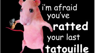 RAT Haremのバナー