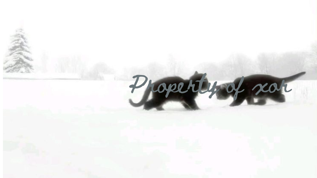 Property of xorのバナー