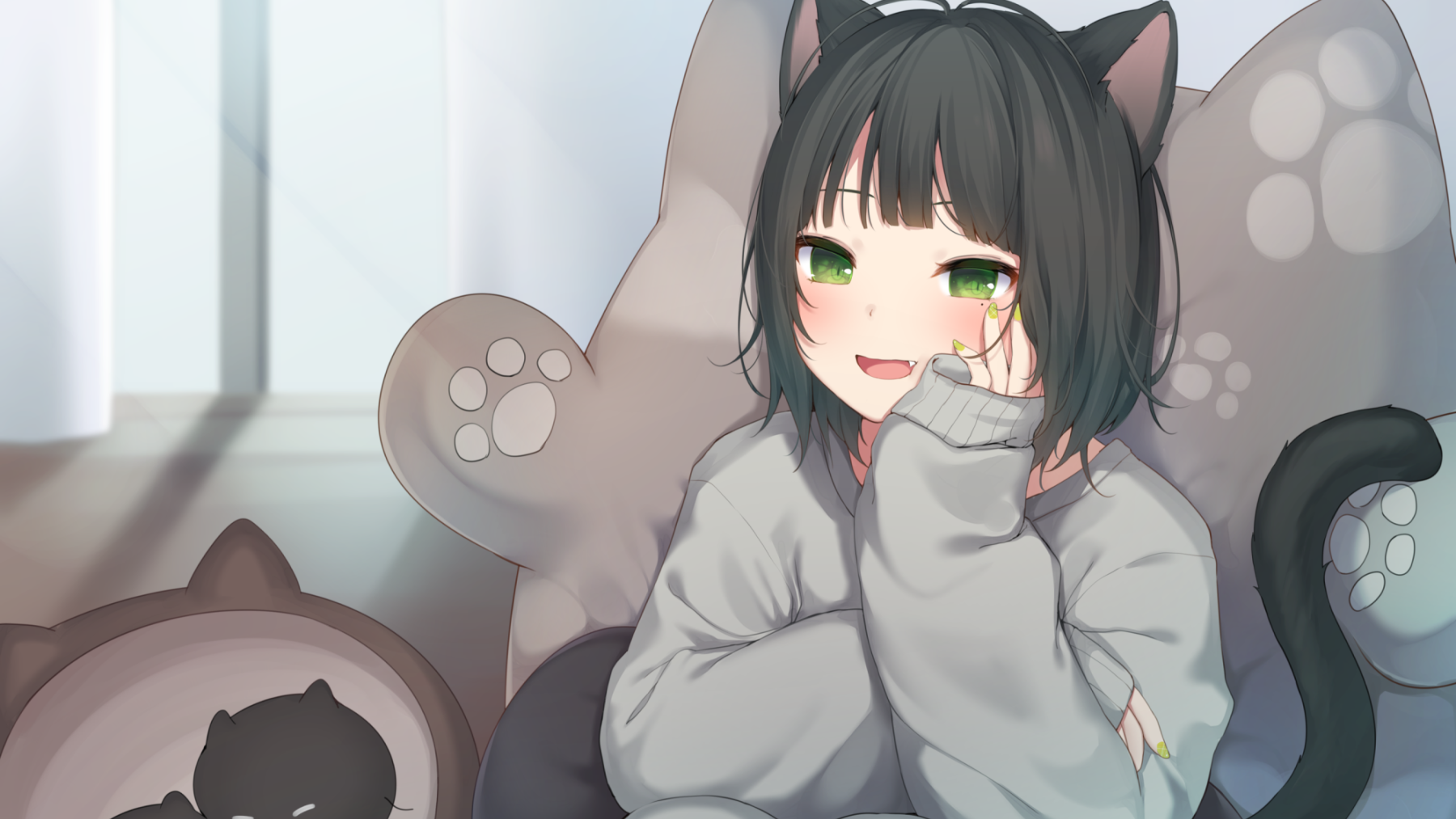 笨蛋猫猫窝